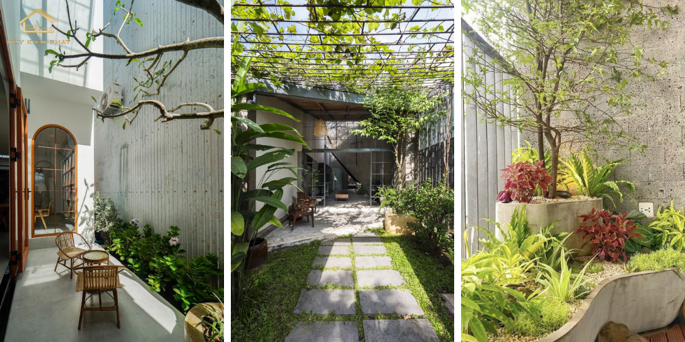 Tạo mảng xanh trong nhà